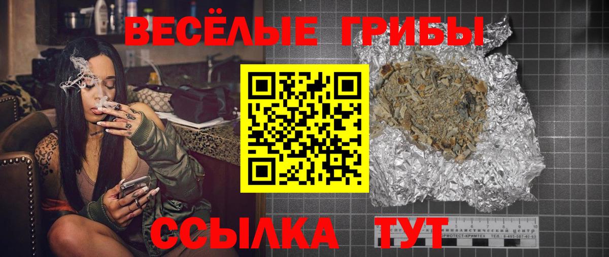 Галлюциногенные грибы Psilocybe  Вход с VPN  Соликамск  Псилоцибиновые грибы Psilocybe 